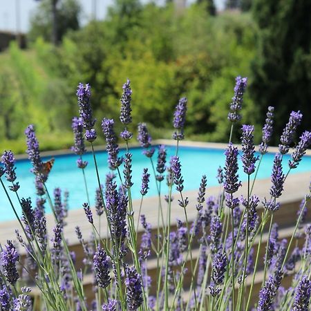 Villa Privata Per Famiglie O Amici バルベリーノ・ヴァル・デルサ エクステリア 写真